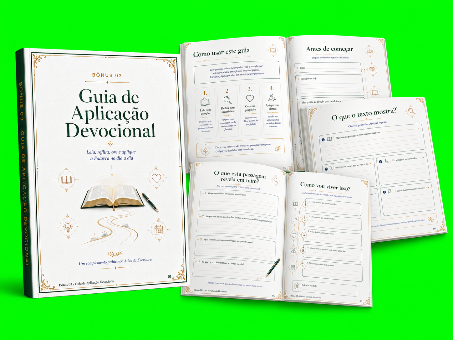 Bonus Guia de Aplicacao